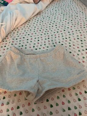 Aritzia Sweatshorts